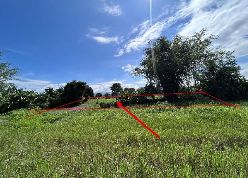 รูปที่ดินว่างเปล่า ขี้เหล็ก แม่ริม เชียงใหม่
