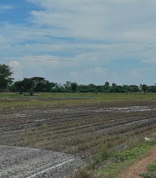 รูปที่ดินว่างเปล่า หนองเต่า บ้านหมี่ ลพบุรี