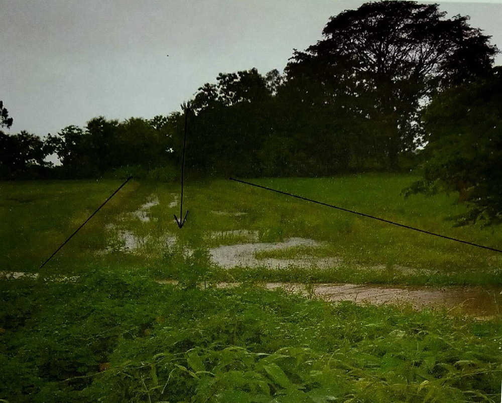 รูปที่ดินว่างเปล่า บ้านนา ศรีสำโรง สุโขทัย