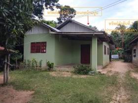 รูปที่ดินพร้อมสิ่งปลูกสร้าง อุ่มเม่า ยางตลาด กาฬสินธุ์