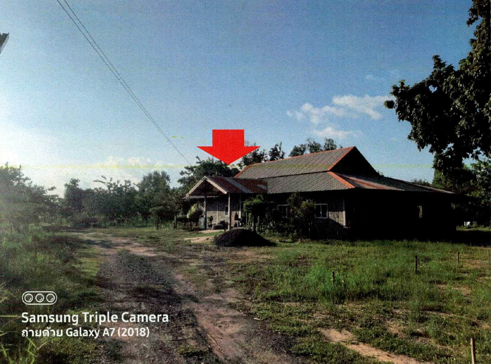รูปที่ดินพร้อมสิ่งปลูกสร้าง คาละแมะ ศีขรภูมิ สุรินทร์