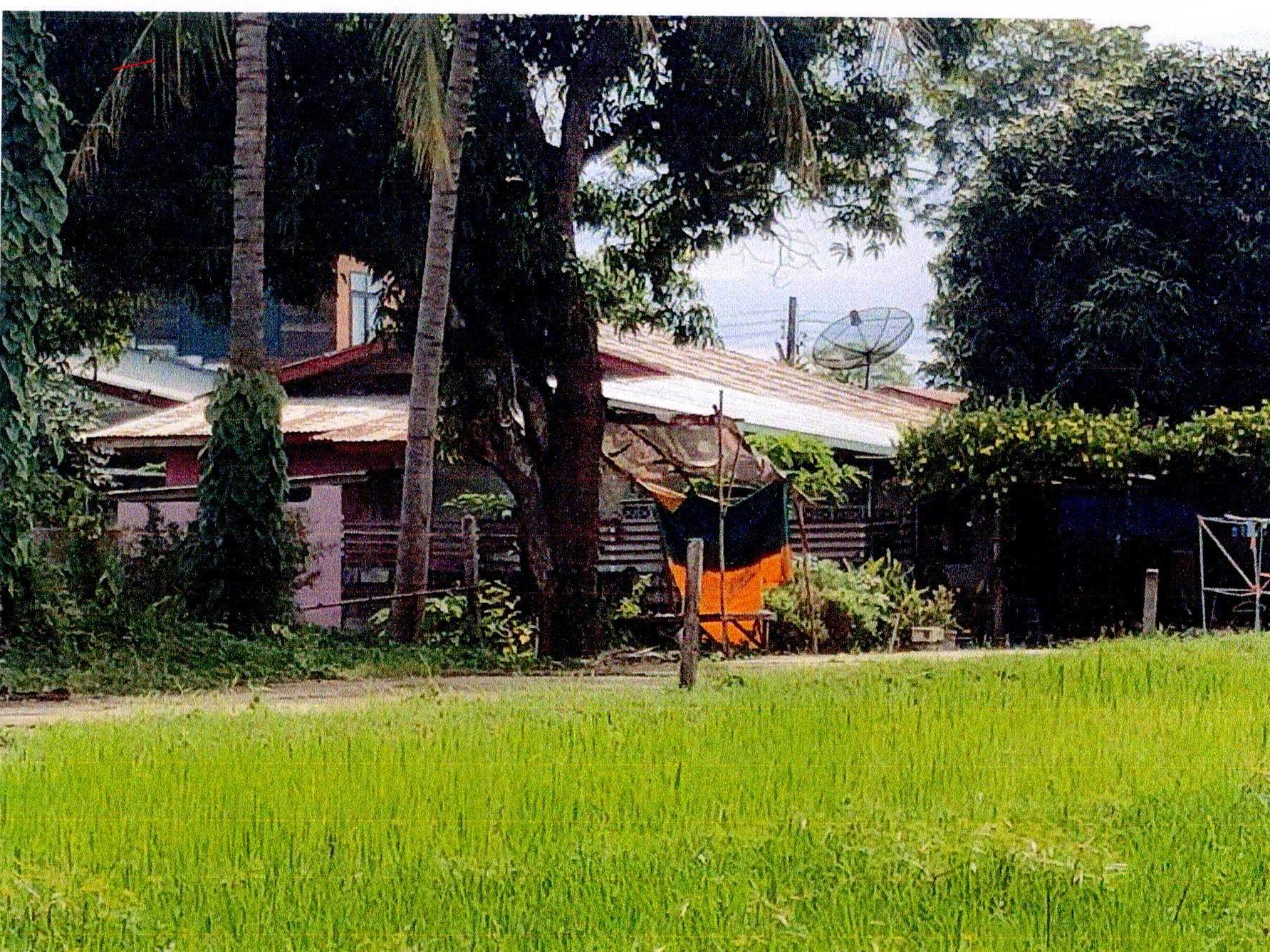 รูปที่ดินพร้อมสิ่งปลูกสร้าง โพนสา ท่าบ่อ หนองคาย