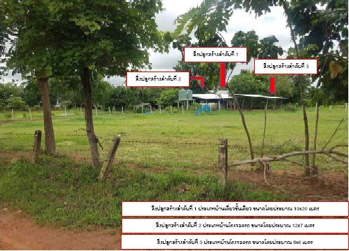 รูปที่ดินพร้อมสิ่งปลูกสร้าง ท่านางแนว แวงน้อย ขอนแก่น