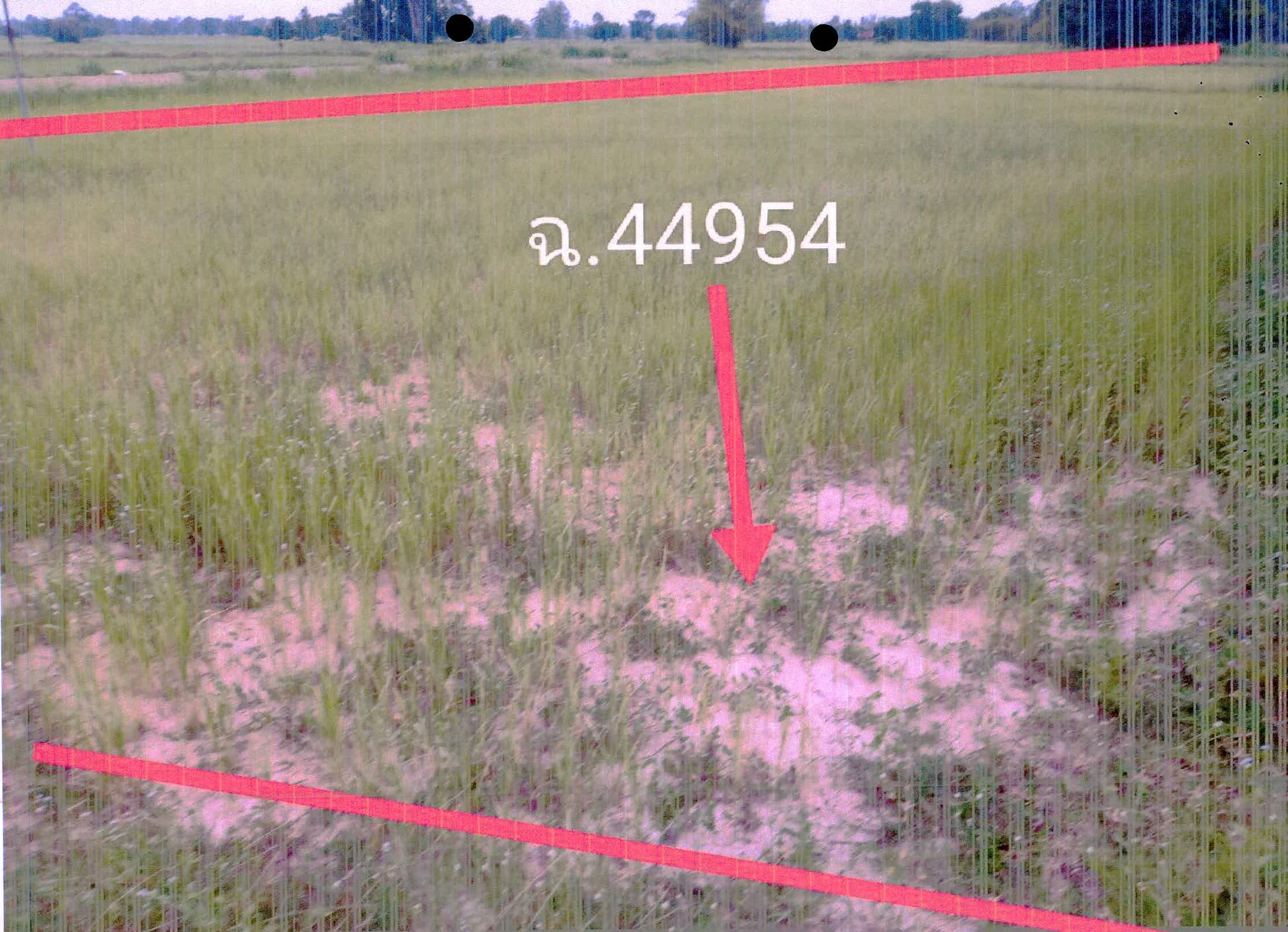 รูปที่ดินว่างเปล่า หมากเขียบ เมืองศรีสะเกษ ศรีสะเกษ