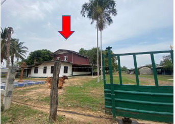 รูปที่ดินพร้อมสิ่งปลูกสร้าง (โคกสะอาด)โคกล่าม ลำปลายมาศ บุรีรัมย์