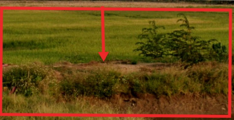 รูปที่ดินว่างเปล่า แม่สุก แม่ใจ พะเยา