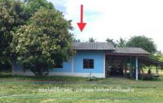 รูปที่ดินพร้อมสิ่งปลูกสร้าง บะ ท่าตูม สุรินทร์