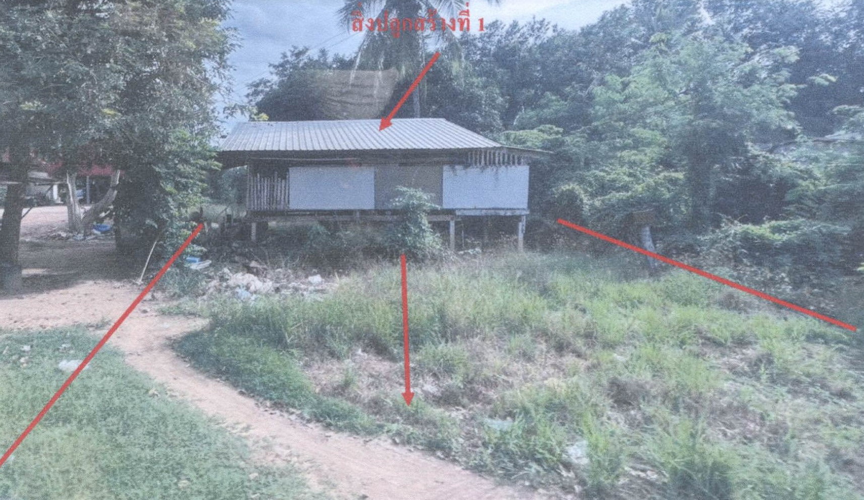 รูปที่ดินพร้อมสิ่งปลูกสร้าง หนองหลุม วชิรบารมี พิจิตร