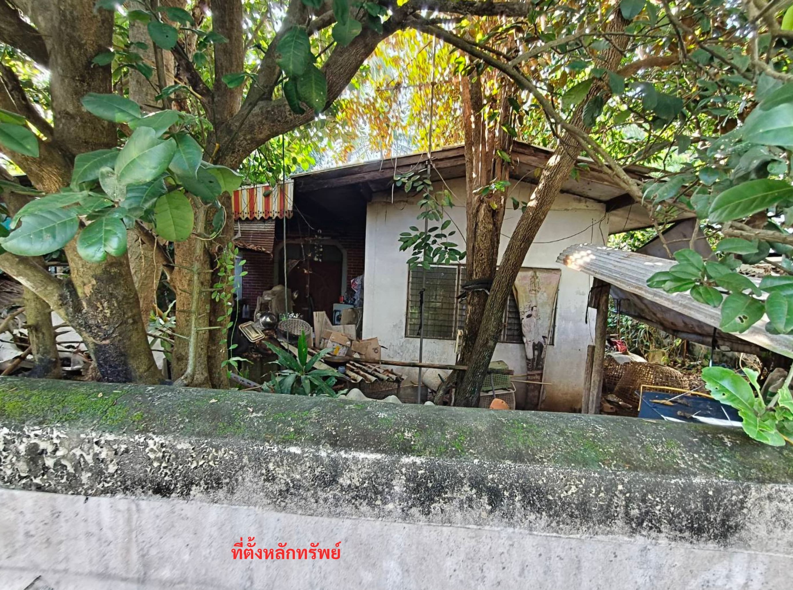 รูปที่ดินพร้อมสิ่งปลูกสร้าง แช่ช้าง สันกำแพง เชียงใหม่