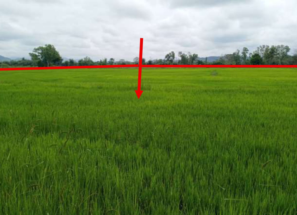 รูปที่ดินว่างเปล่า ท่าข้าวเปลือก แม่จัน เชียงราย
