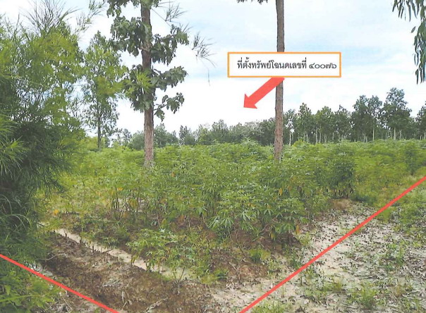 รูปที่ดินว่างเปล่า โคกจาน ตระการพืชผล อุบลราชธานี