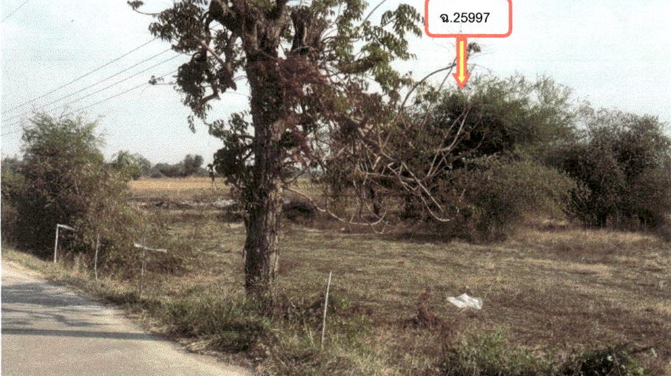 รูปที่ดินว่างเปล่า หนองราชวัตร หนองหญ้าไซ สุพรรณบุรี