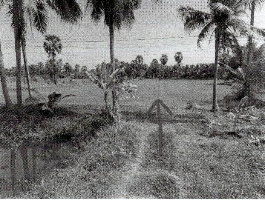 รูปที่ดินว่างเปล่า ลาดโพธิ์ บ้านลาด เพชรบุรี
