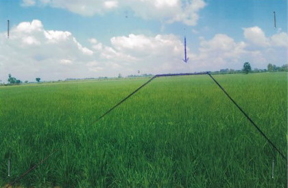 รูปที่ดินว่างเปล่า หนองแขม พรหมพิราม พิษณุโลก