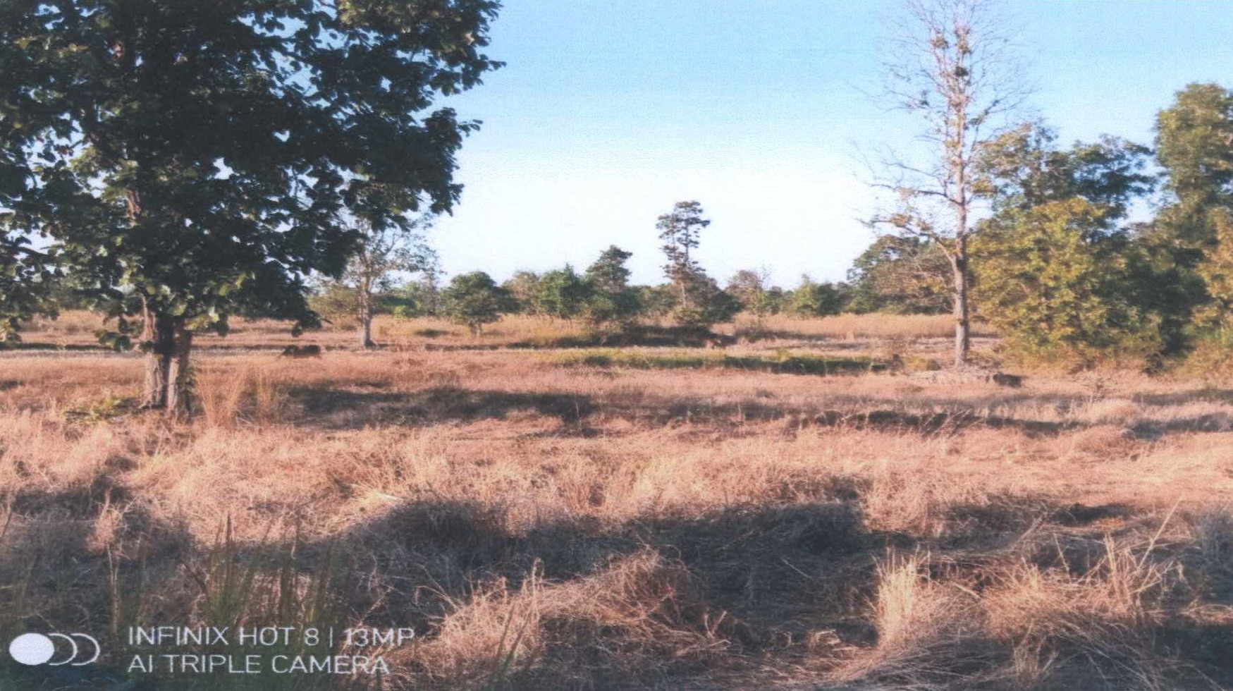 รูปที่ดินว่างเปล่า สงยาง ศรีเมืองใหม่ อุบลราชธานี