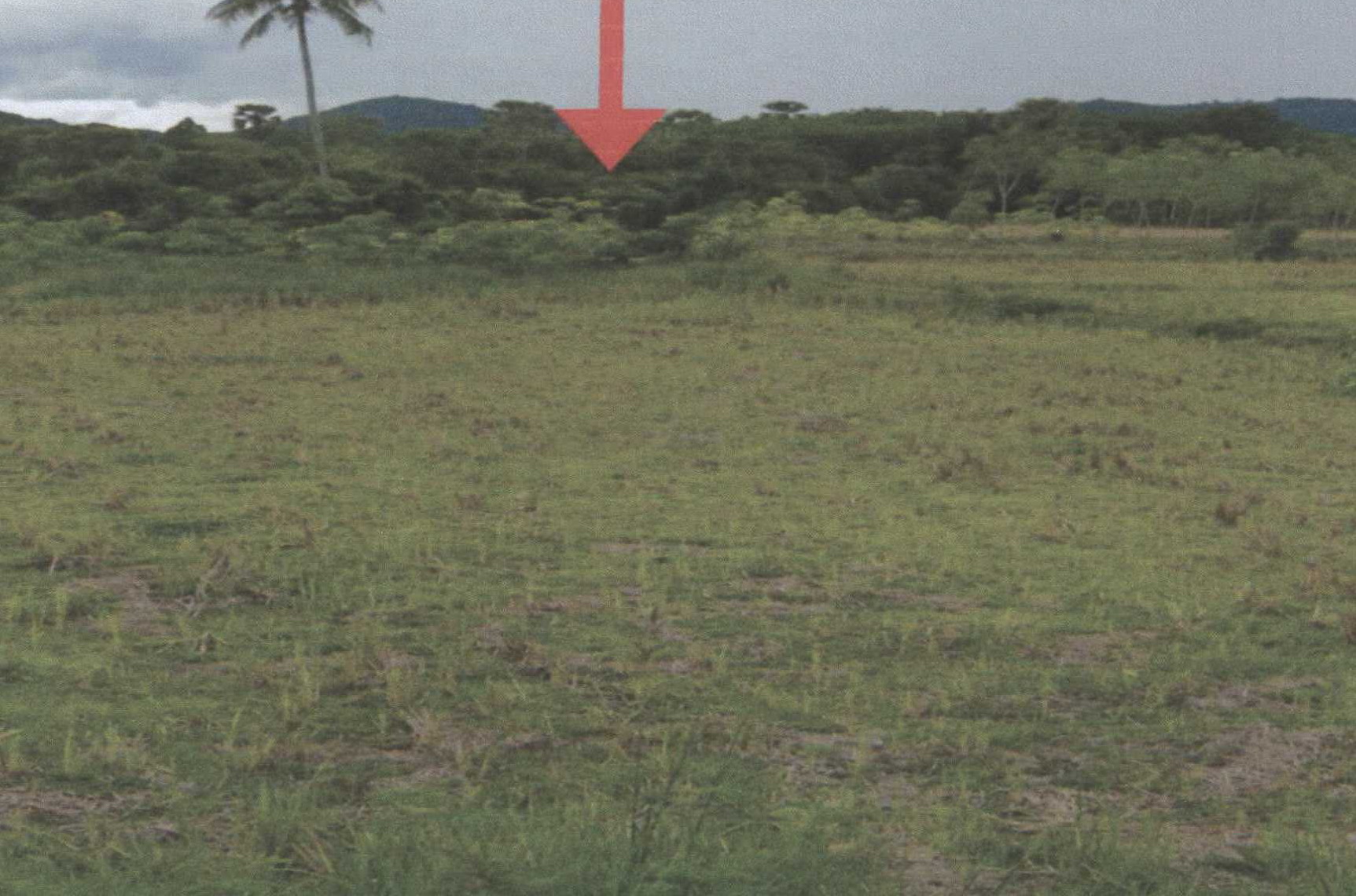 รูปที่ดินว่างเปล่า เตราะบอน สายบุรี ปัตตานี