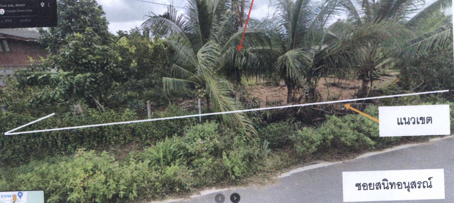 รูปที่ดินว่างเปล่า ฉาง นาทวี สงขลา