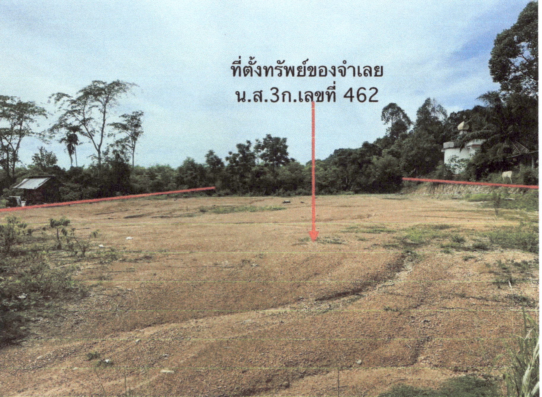 รูปที่ดินว่างเปล่า นาทอน ทุ่งหว้า สตูล