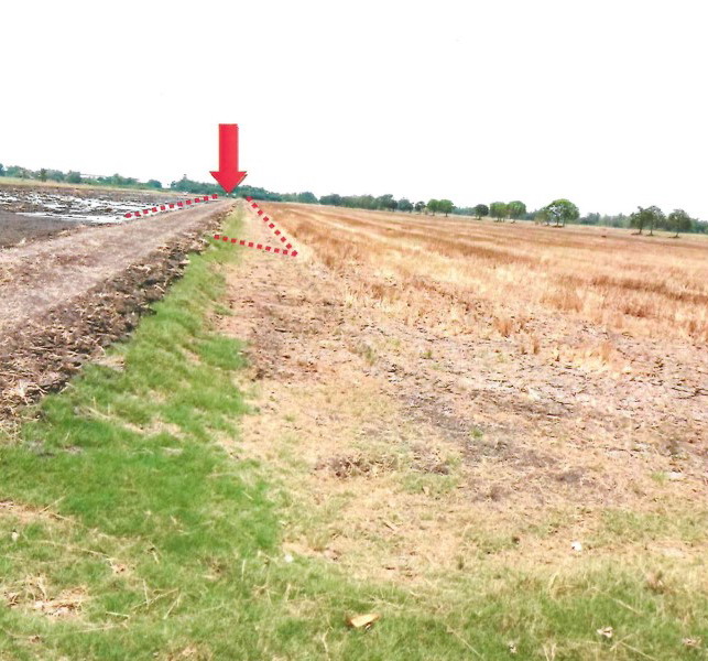 รูปที่ดินว่างเปล่า ทับยาว ลาดกระบัง กรุงเทพมหานคร