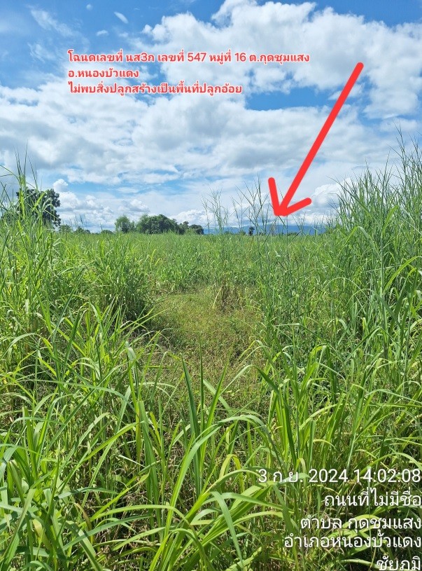 รูปที่ดินว่างเปล่า กุดชุมแสง หนองบัวแดง ชัยภูมิ