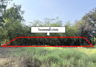 รูปที่ดินว่างเปล่า หนองพยอม ตะพานหิน พิจิตร