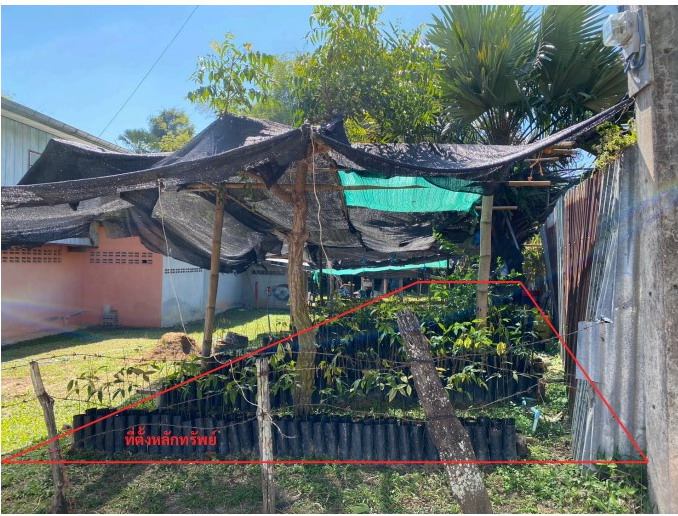 รูปที่ดินว่างเปล่า ร่องจิก ภูเรือ เลย