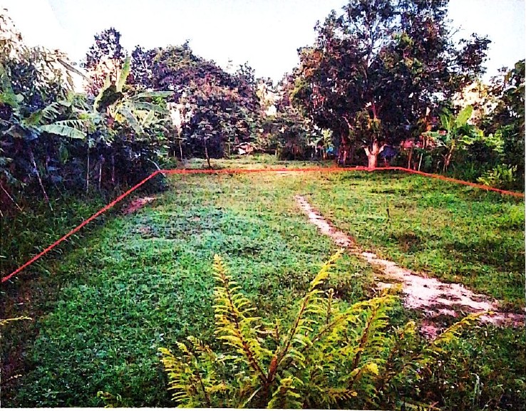 รูปที่ดินว่างเปล่า น้ำคำใหญ่ เมืองยโสธร ยโสธร