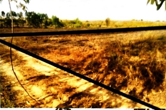 รูปที่ดินว่างเปล่า หนองแวง บ้านแพง นครพนม