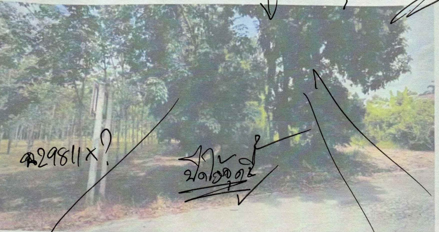 รูปที่ดินว่างเปล่า เขาแก้ว เชียงคาน เลย