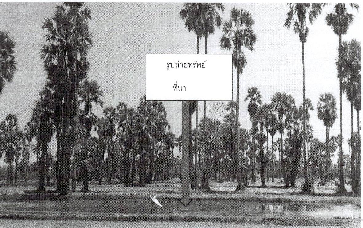 รูปที่ดินว่างเปล่า หนองกระเจ็ด บ้านลาด เพชรบุรี