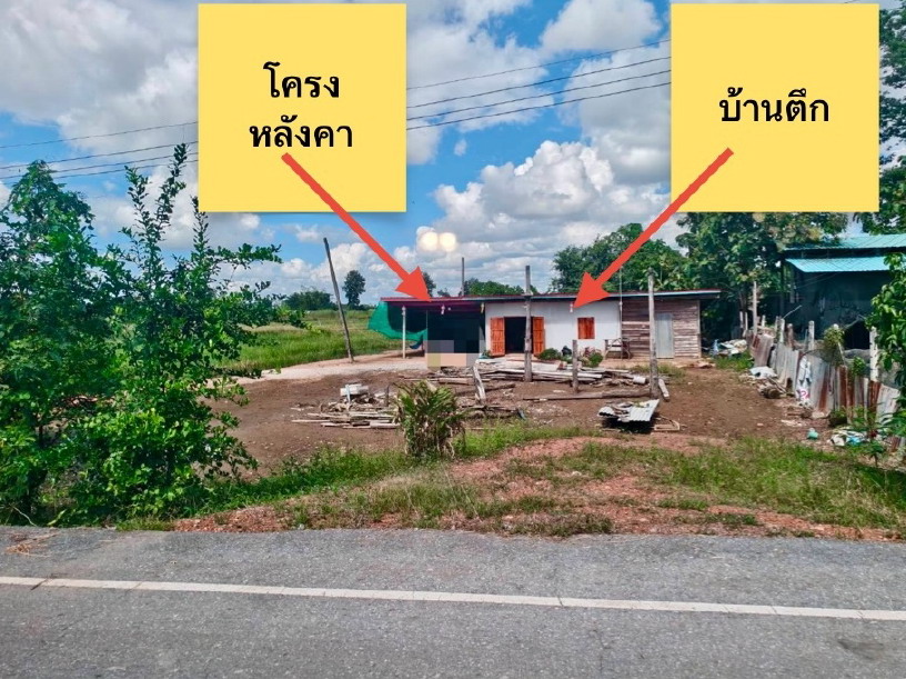 รูปที่ดินพร้อมสิ่งปลูกสร้าง เกาะตาเลี้ยง ศรีสำโรง สุโขทัย