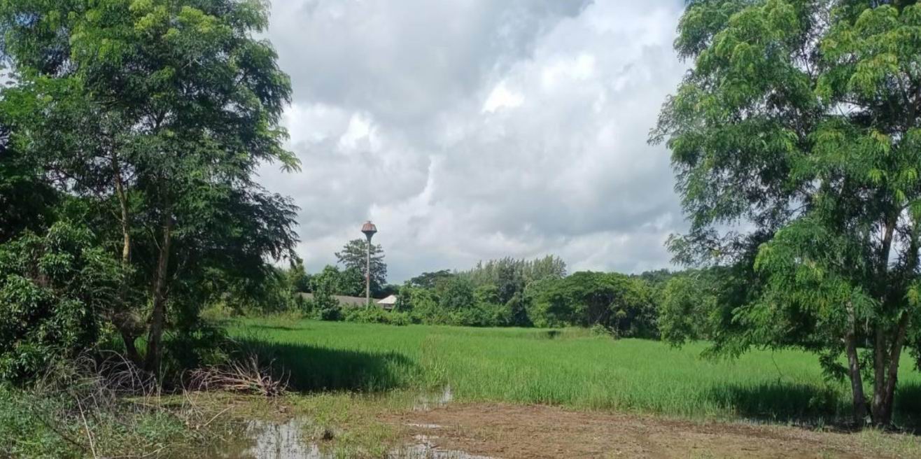 รูปที่ดินว่างเปล่า ดงเจน ภูกามยาว พะเยา