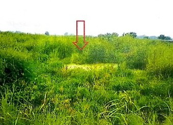 รูปที่ดินว่างเปล่า บ้านฉาง เมืองปทุมธานี ปทุมธานี