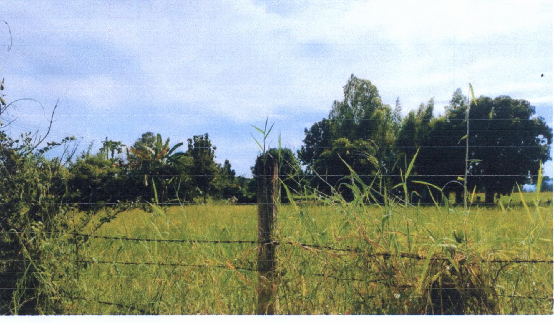 รูปที่ดินว่างเปล่า หนองขาม คอนสวรรค์ ชัยภูมิ