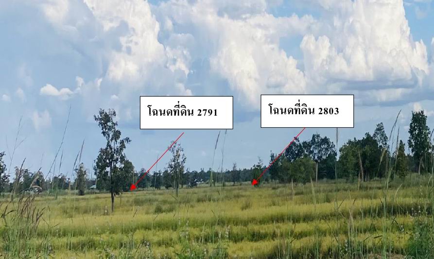 รูปที่ดินว่างเปล่า อุ่มจาน กุสุมาลย์ สกลนคร