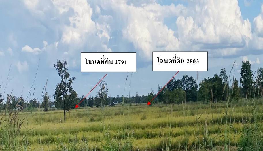 รูปที่ดินว่างเปล่า อุ่มจาน กุสุมาลย์ สกลนคร