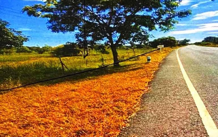 รูปที่ดินว่างเปล่า ไร่ขี ลืออำนาจ อำนาจเจริญ