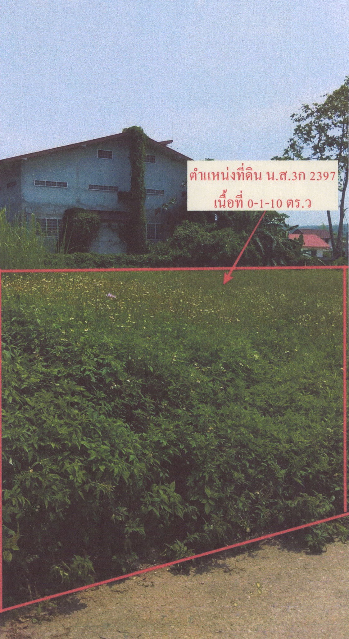 รูปที่ดินว่างเปล่า นางแล แม่จัน เชียงราย