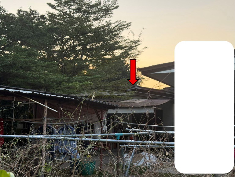 รูปที่ดินพร้อมสิ่งปลูกสร้าง ชมภู สารภี เชียงใหม่