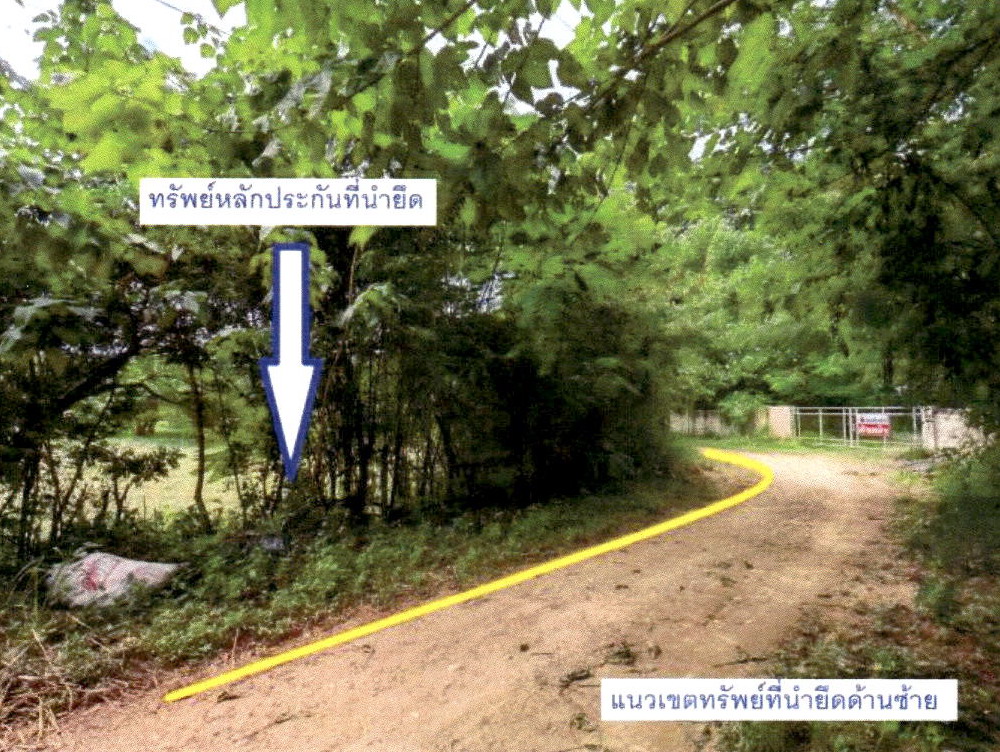 รูปที่ดินว่างเปล่า บ้านหนุน สอง แพร่