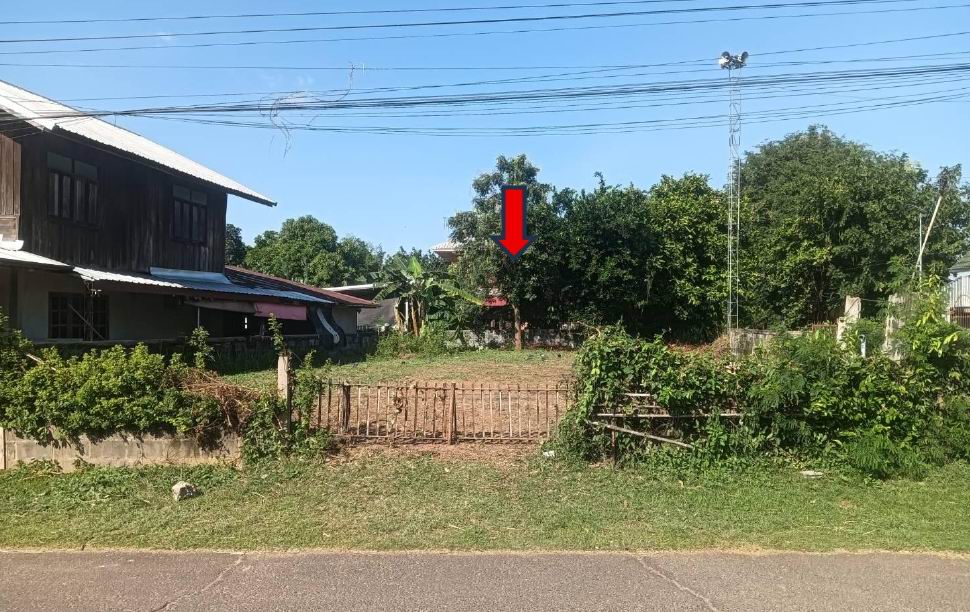 รูปที่ดินว่างเปล่า อำนาจ ลืออำนาจ อำนาจเจริญ