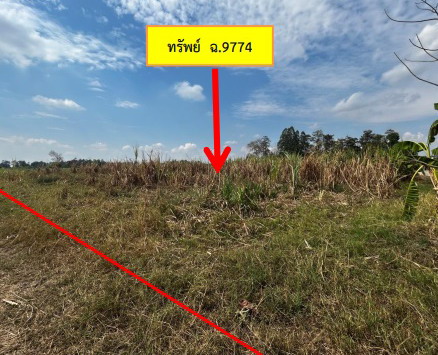 รูปที่ดินว่างเปล่า คำบง ห้วยผึ้ง กาฬสินธุ์