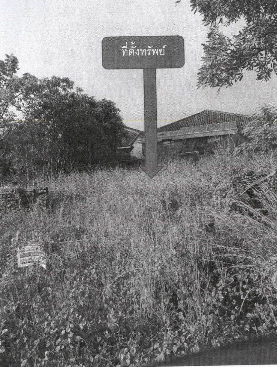 รูปที่ดินว่างเปล่า ไผ่ต่ำ หนองแค สระบุรี