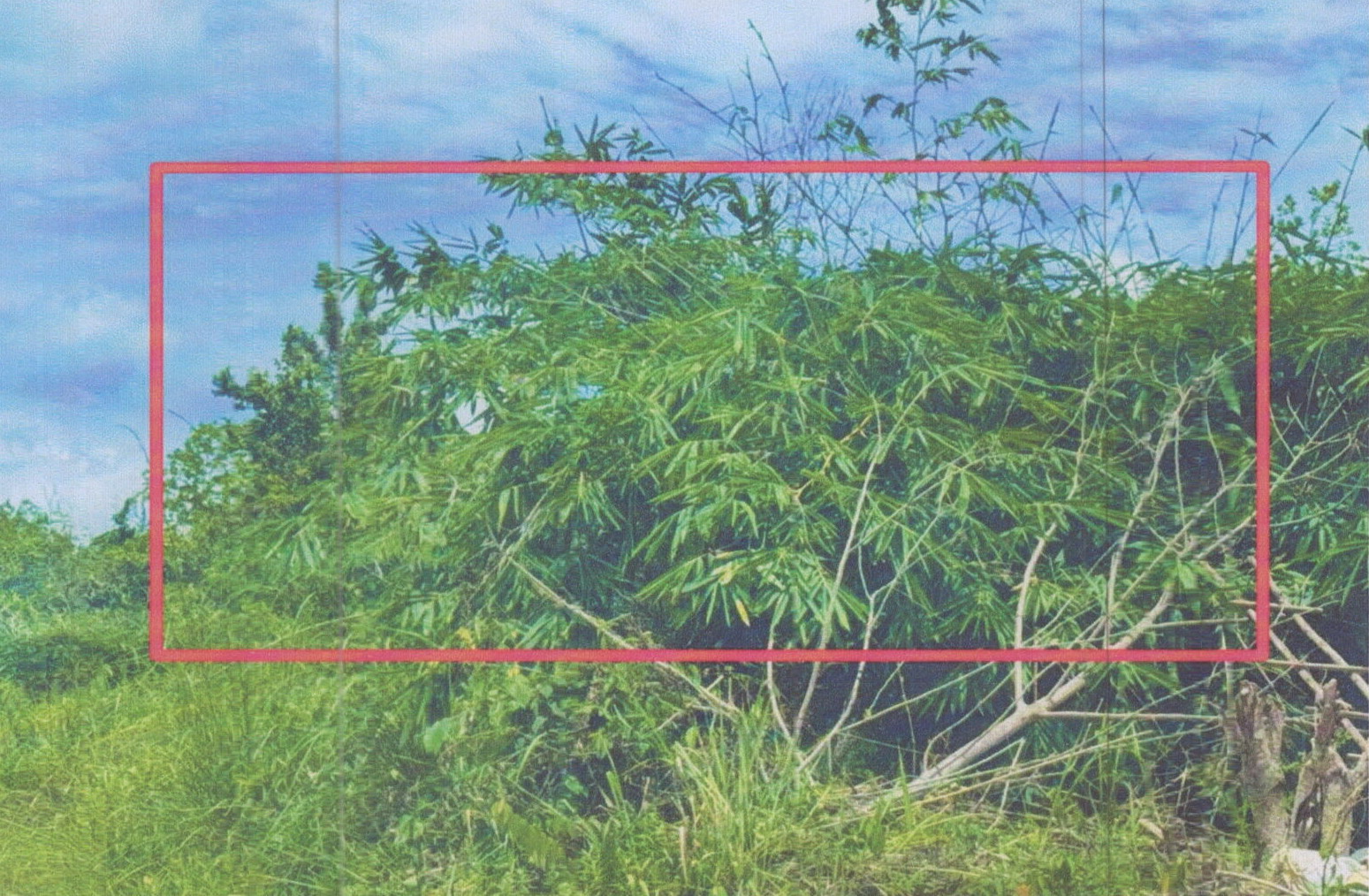 รูปที่ดินว่างเปล่า ท่าช้าง บางกล่ำ สงขลา
