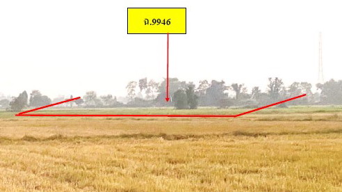 รูปที่ดินว่างเปล่า คลองคะเชนทร์ เมืองพิจิตร พิจิตร
