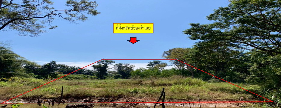 รูปที่ดินว่างเปล่า แร่ พังโคน สกลนคร