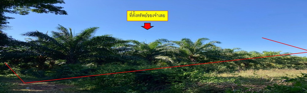 รูปที่ดินว่างเปล่า แร่ พังโคน สกลนคร