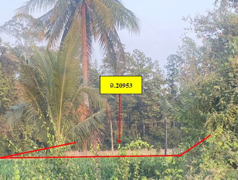 รูปที่ดินว่างเปล่า ย่านยาว เมืองพิจิตร พิจิตร