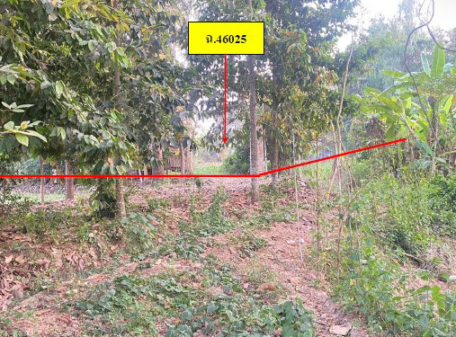 รูปที่ดินว่างเปล่า ไผ่ขวาง เมืองพิจิตร พิจิตร