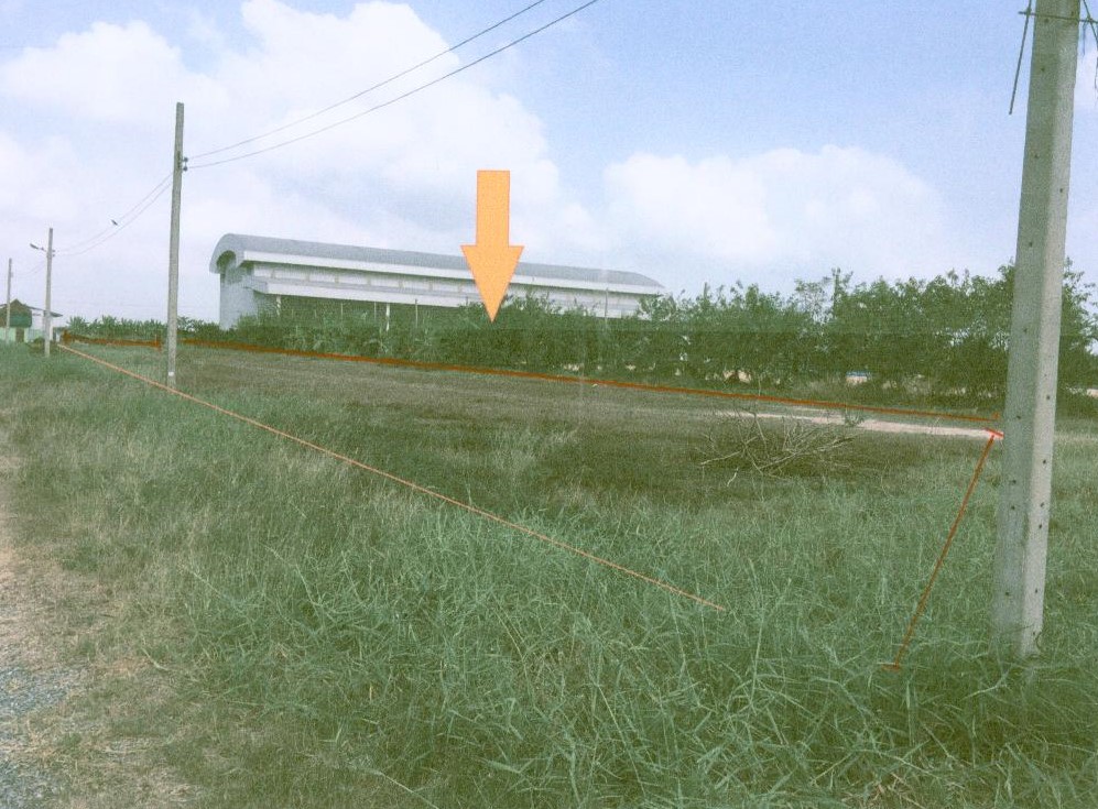 รูปที่ดินว่างเปล่า ไทรน้อย ไทรน้อย นนทบุรี